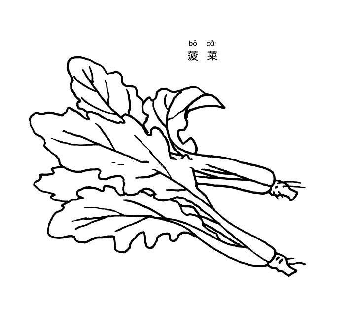 菠菜简笔画图片