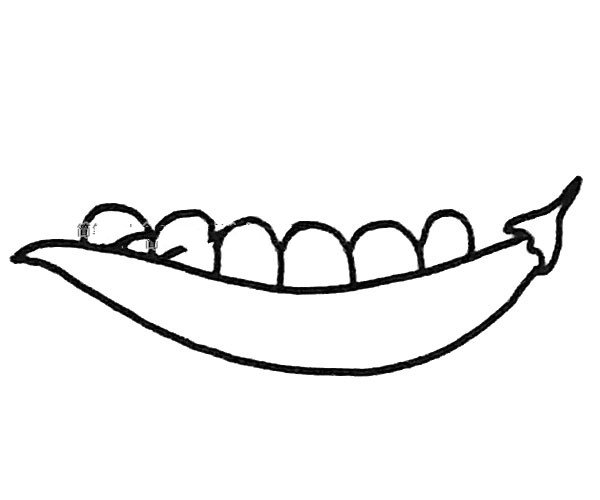 6张豌豆简笔画图片