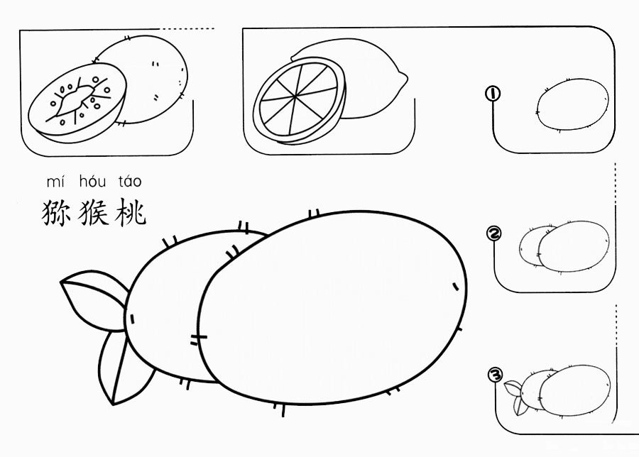 猕猴桃怎么画