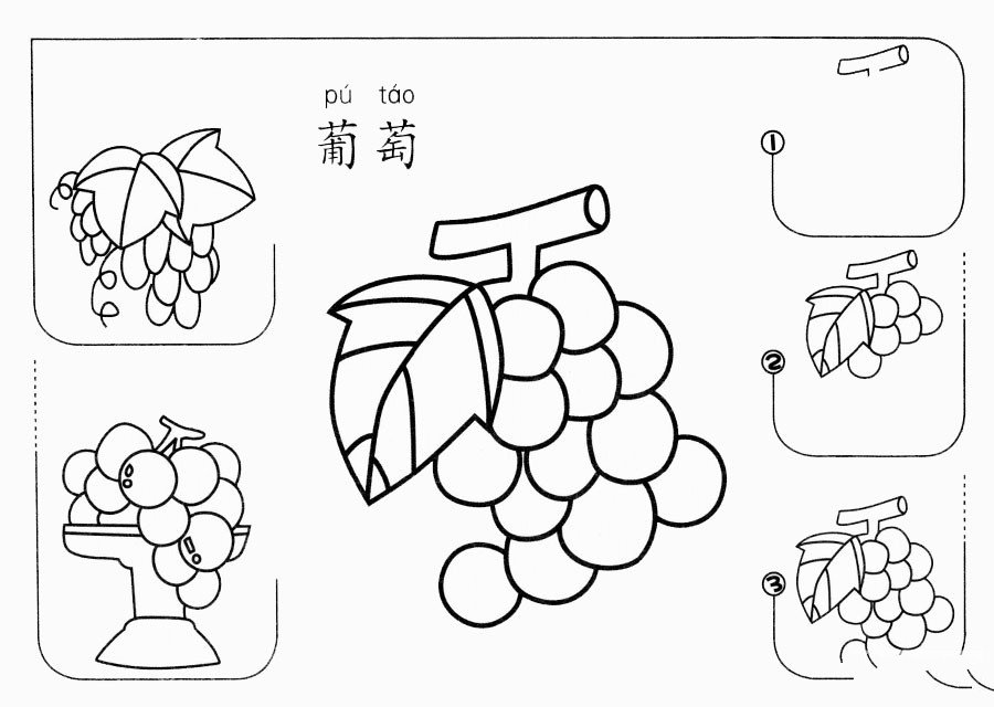 葡萄怎么画