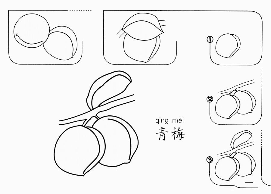 青梅怎么画